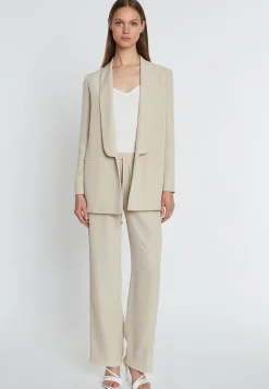 Blazer Ramina