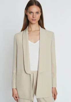 Blazer Ramina