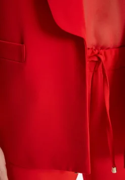 Blazer Zafa