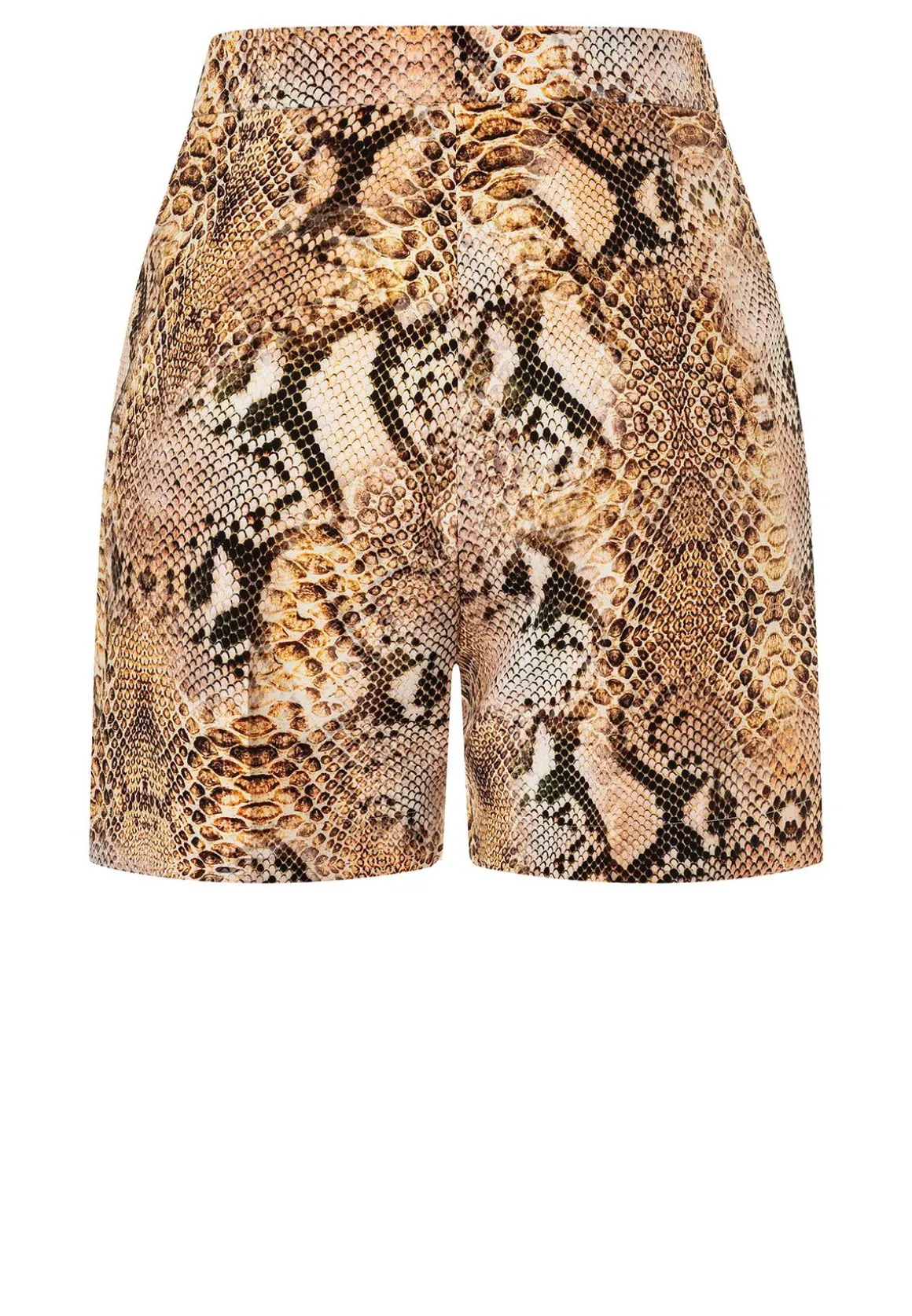 Shorts Paita