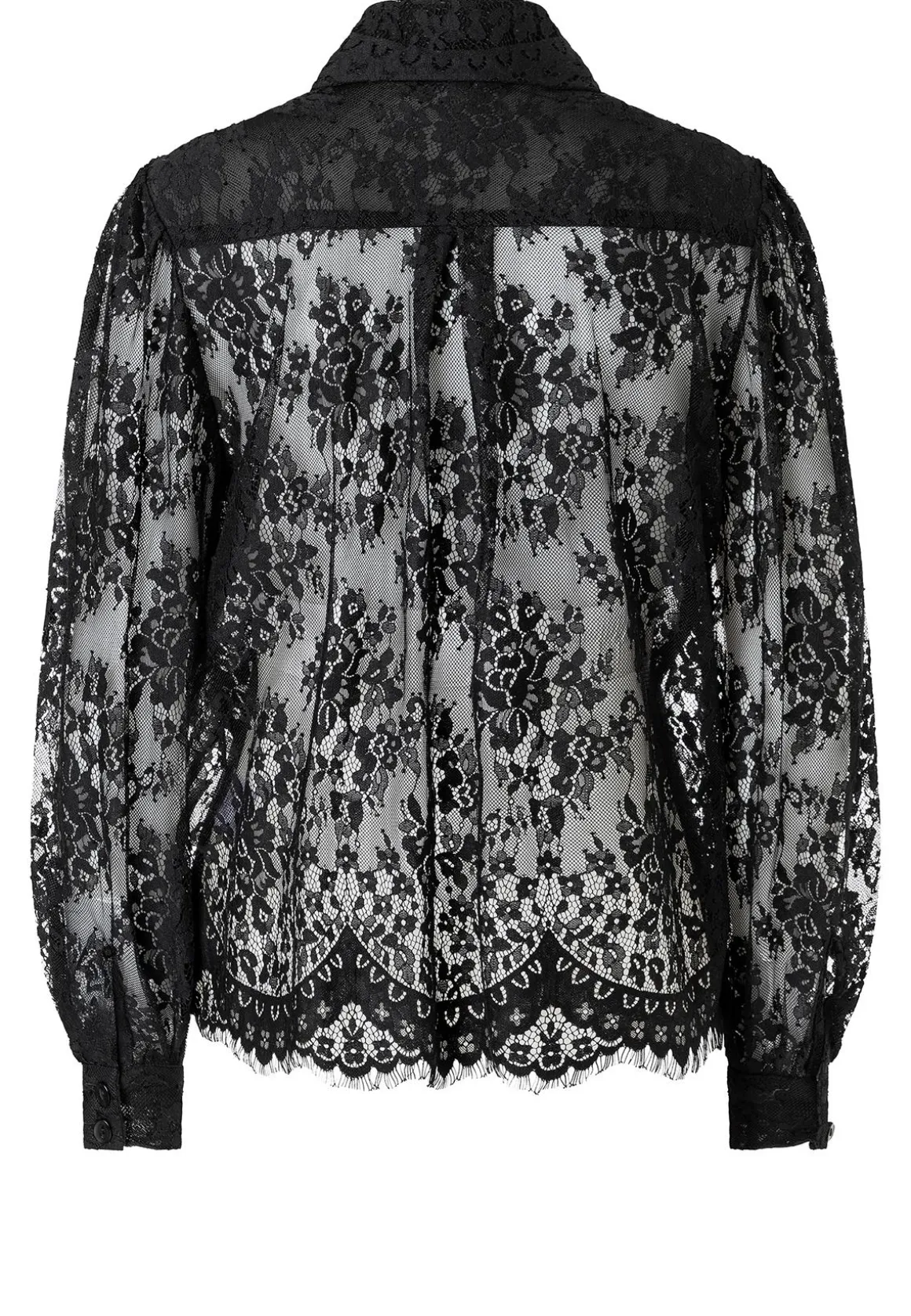 Spitzenbluse Abisia